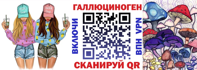 Псилоцибиновые грибы Psilocybe Бавлы